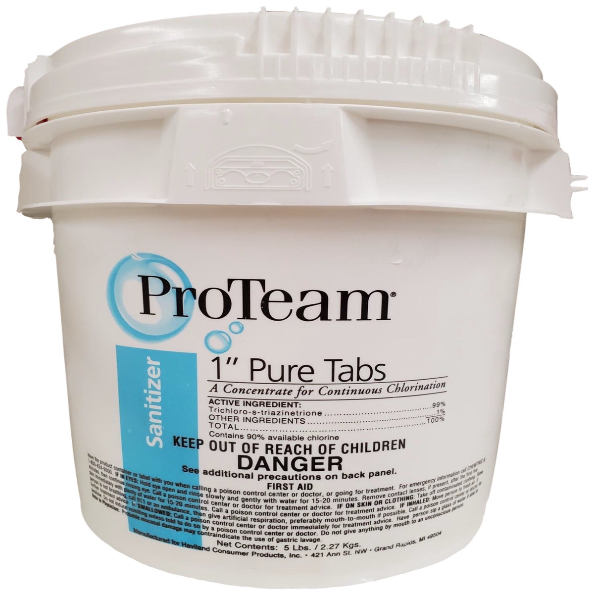 ProTeam 1" Pure Tabs Sanitizer for Pools - 5 lbs.