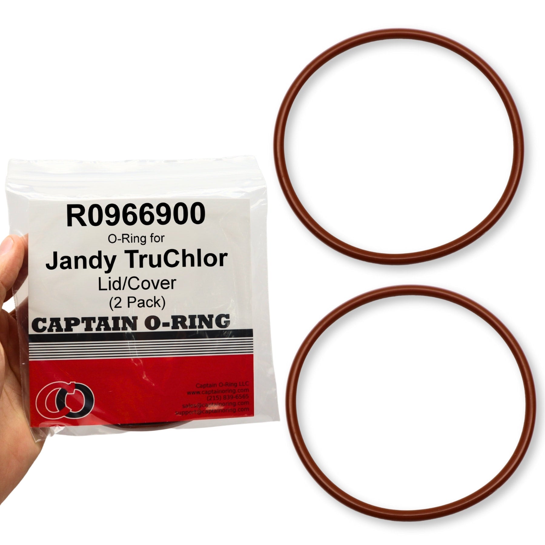 R0966900 O-Ring for Jandy TruChlor R0966800 Cover Lid (2 Pack)