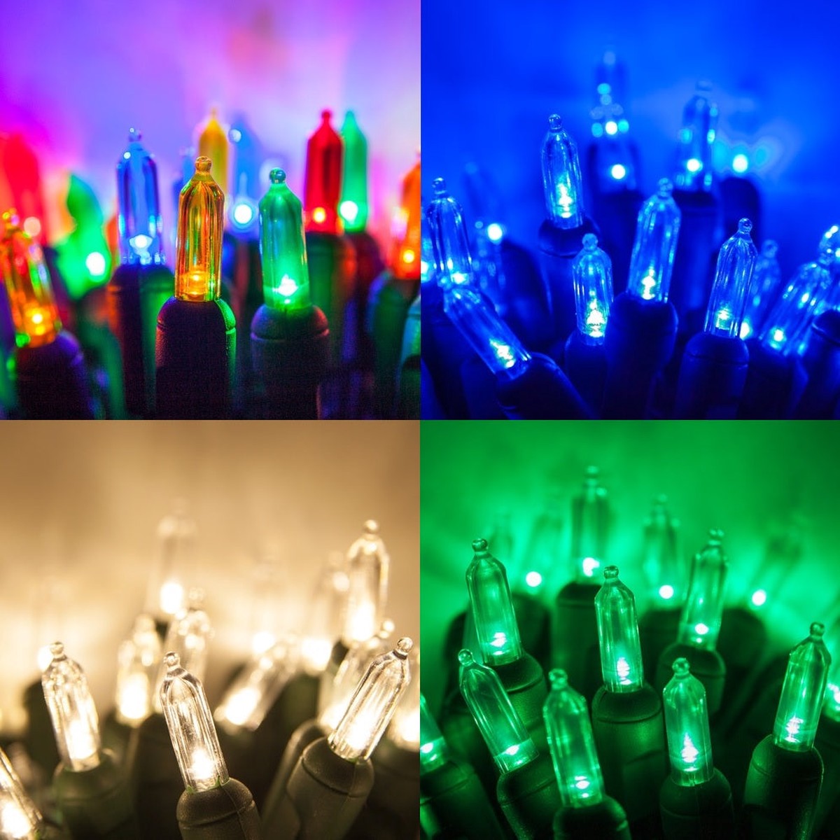 Set of 100 Classic T5 Mini Lights on a Green Wire