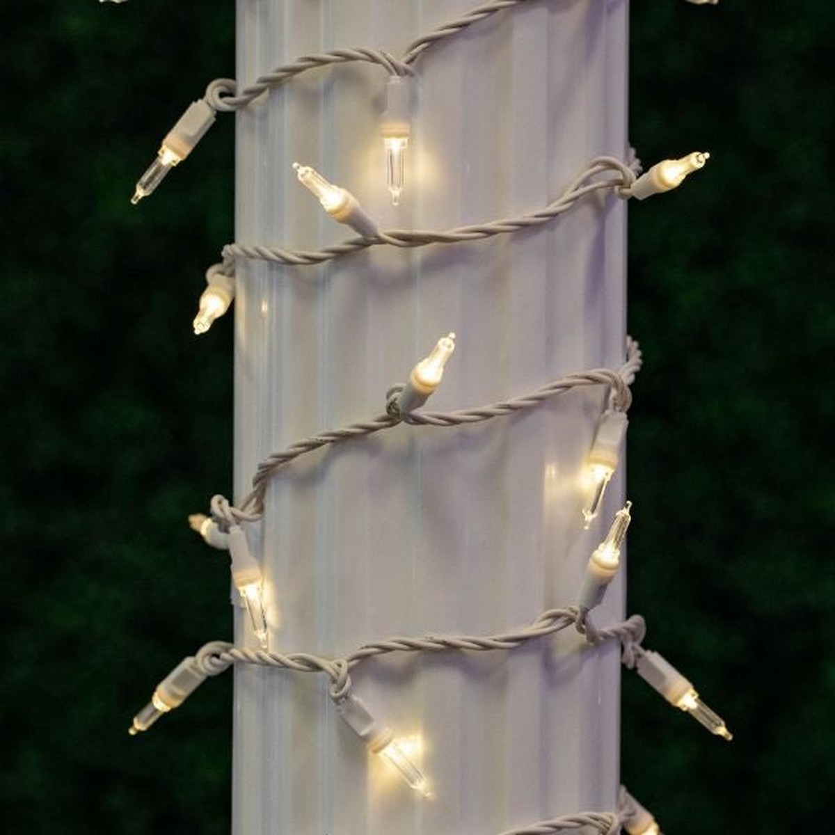 Set of 100 Warm White Classic T5 Mini Lights on a White Wire