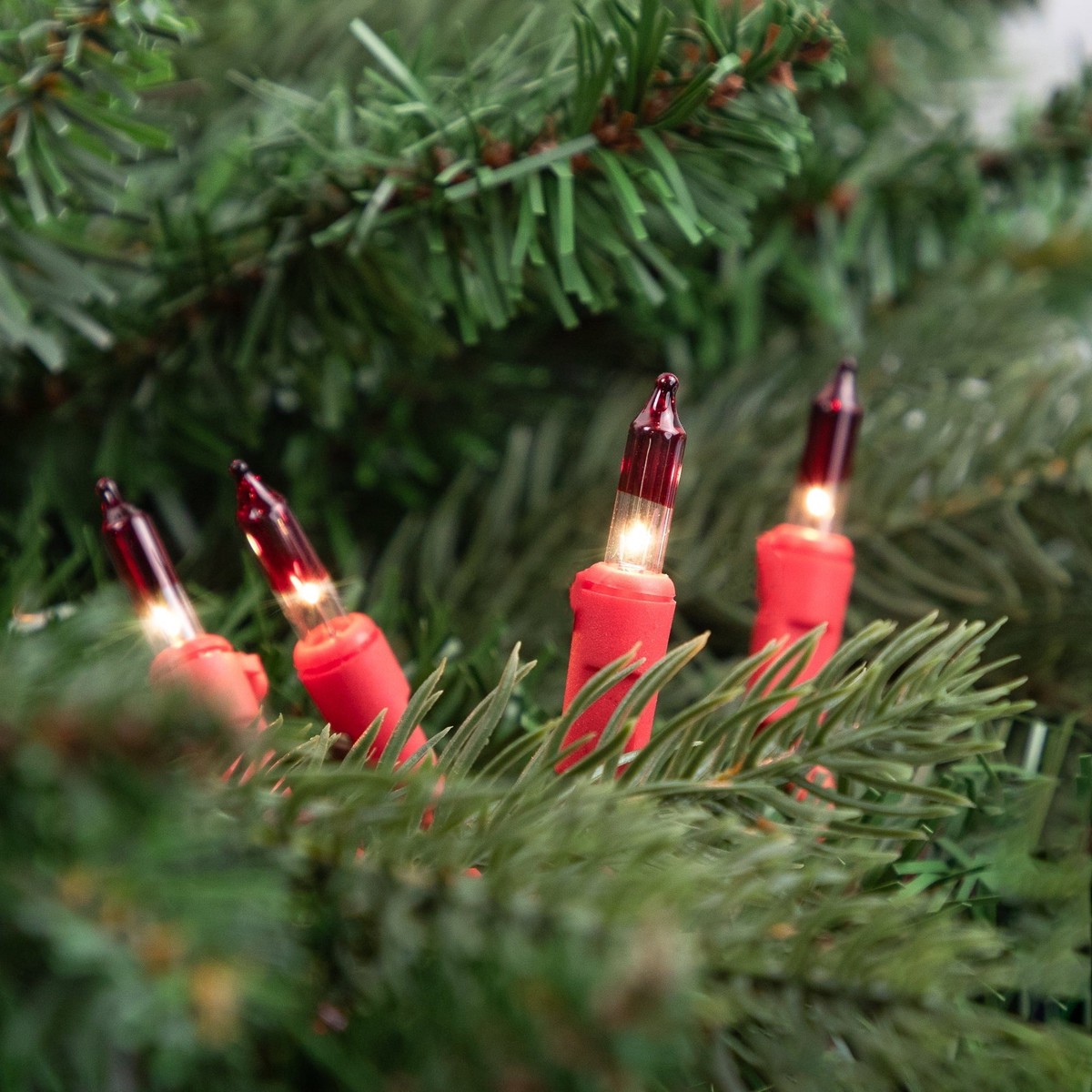 Set of 50 Peppermint Twist Mini Christmas Lights on a Red Wire