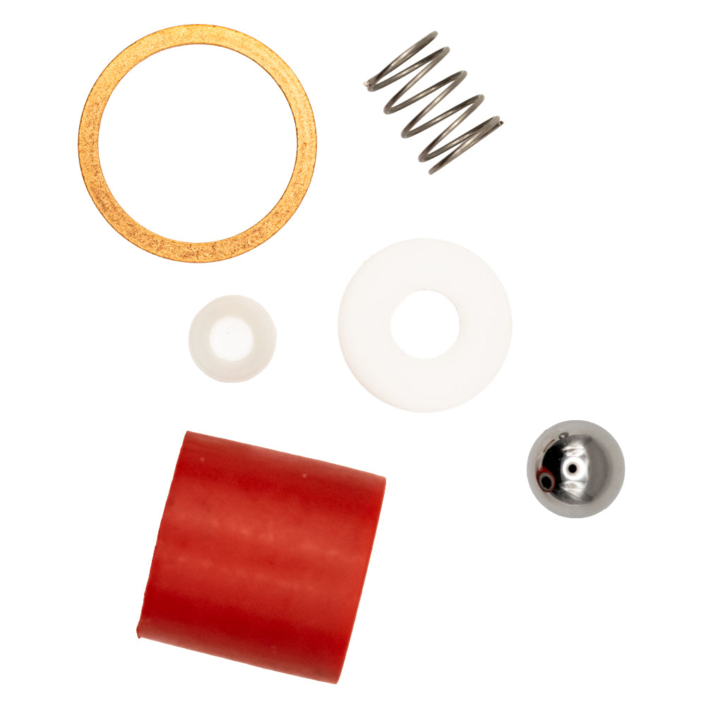 Wagner 0270954 Replacement Pump Repair Kit