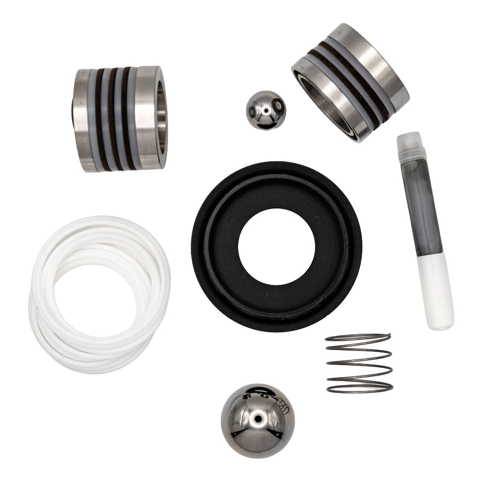 Graco 25D233 Full Repair Kit Replacement