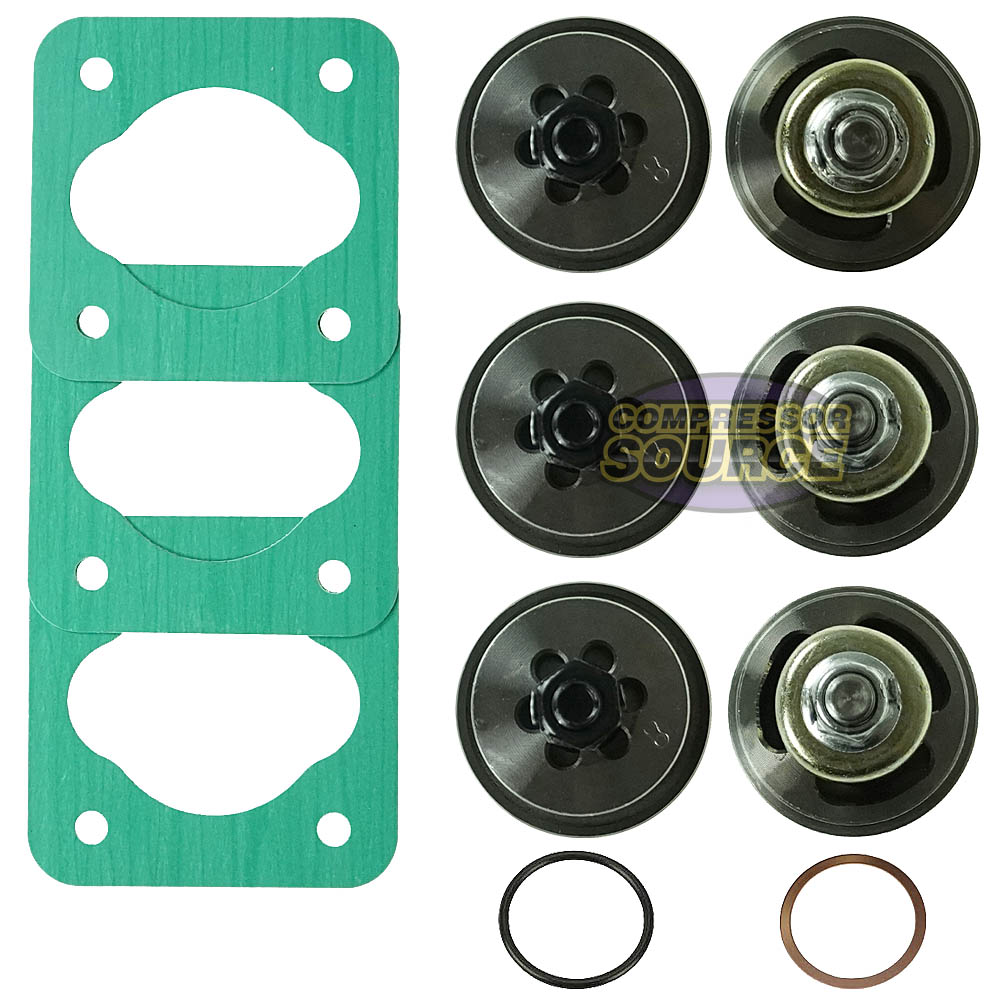 Valve Set-Head Overhaul Kit For Curtis Challenge & Air Fusheng Pump VSHOK-E50-CU